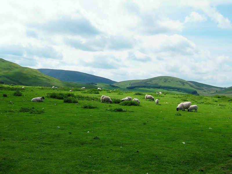 File:West Calder Hills.jpg